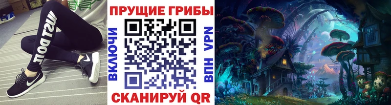Купить закладки  Среднеколымск  Галлюциногенные грибы мицелий 
