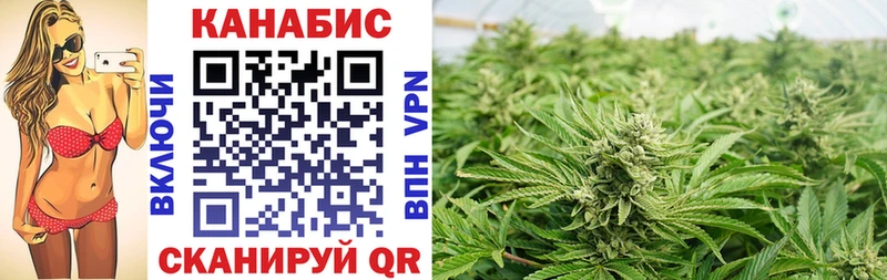 Бошки марихуана OG Kush  Купить где  Среднеколымск 